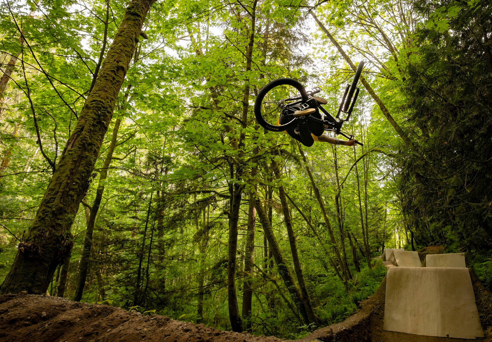 Bicycle in mid-air against a forest background
