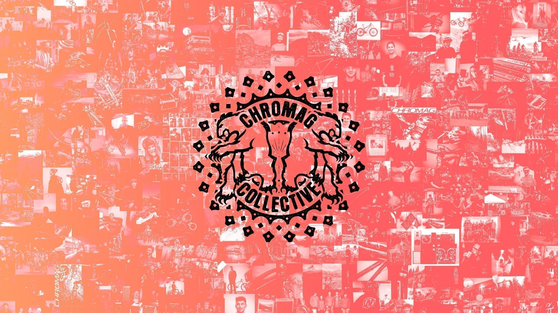 The Chromag Collective