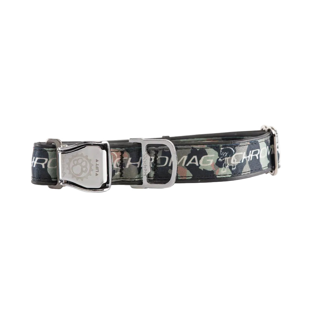 Collar de perro