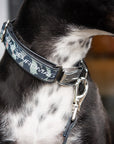 Collar de perro