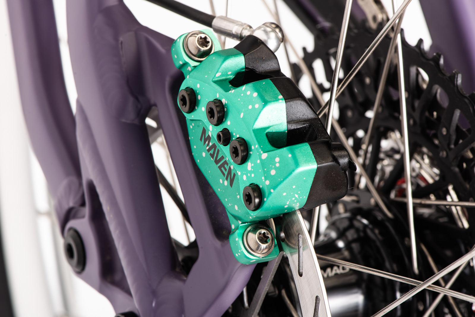 Motivo de la demostración